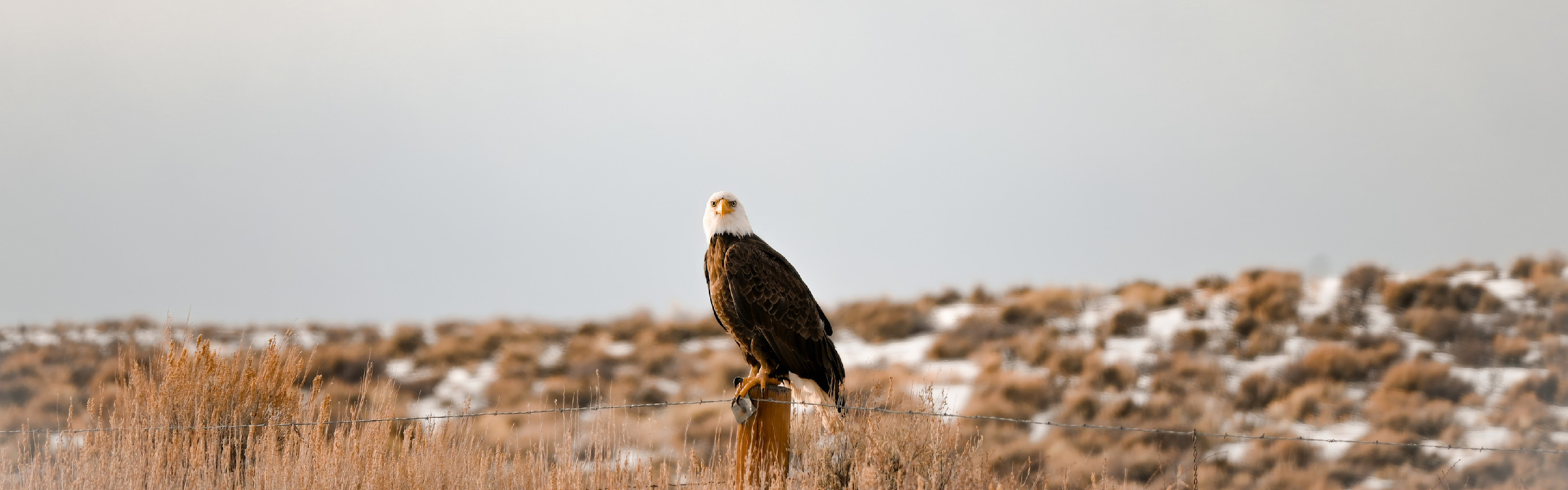 
        <div class='title'>
          image   2026 01 17T070948
        </div>
       