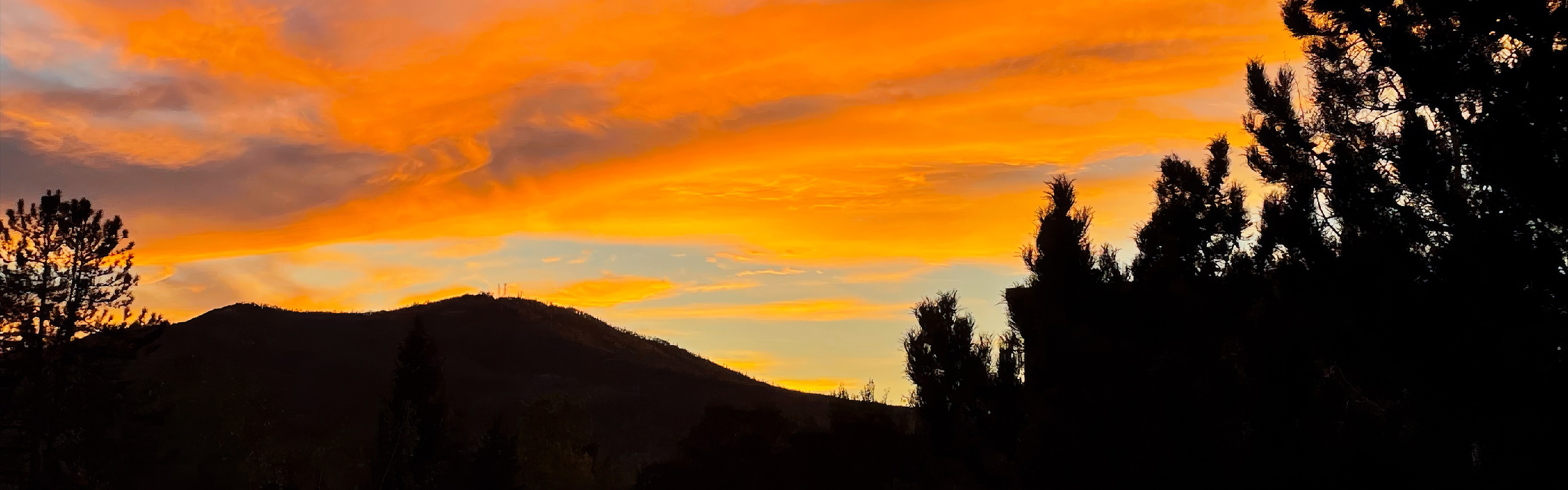 
        <div class='title'>
          image   2026 01 17T071240
        </div>
       