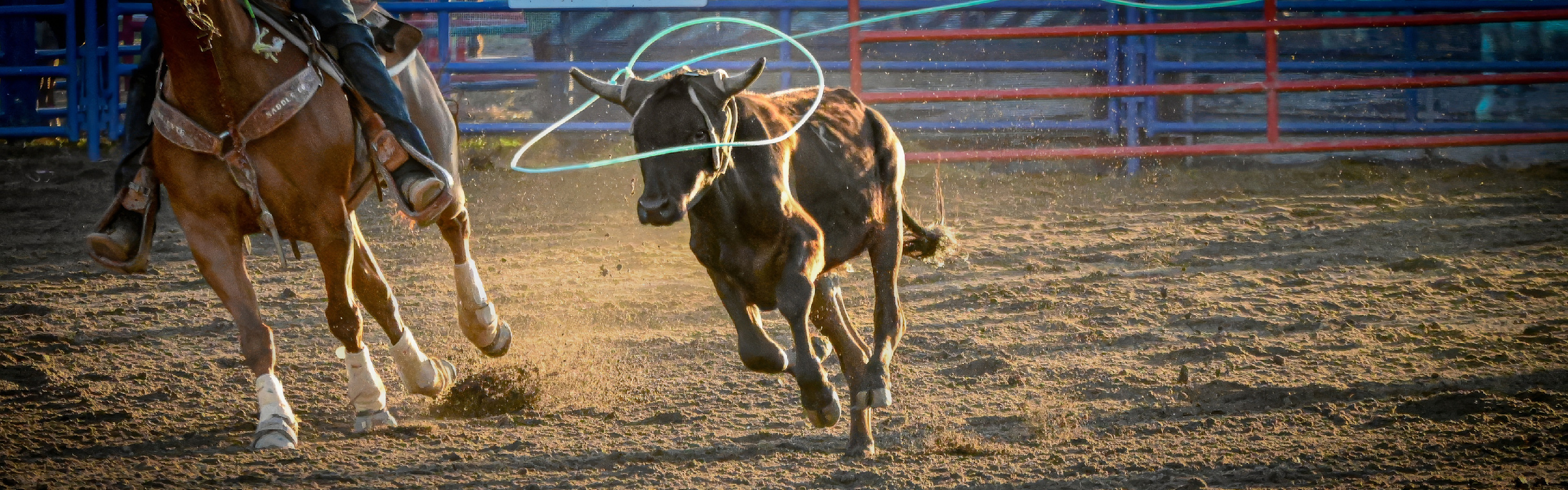 
        <div class='title'>
          image   2026 01 17T070710
        </div>
       