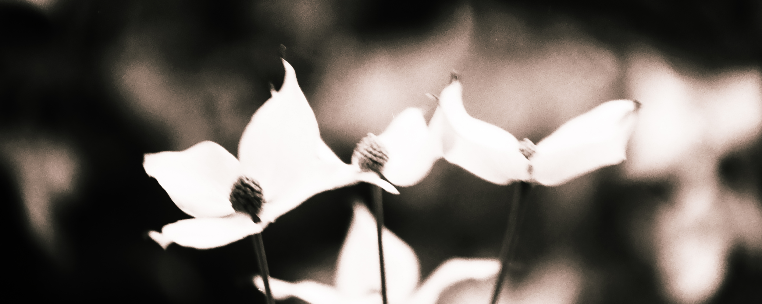 
        <div class='title'>
          3
        </div>
       