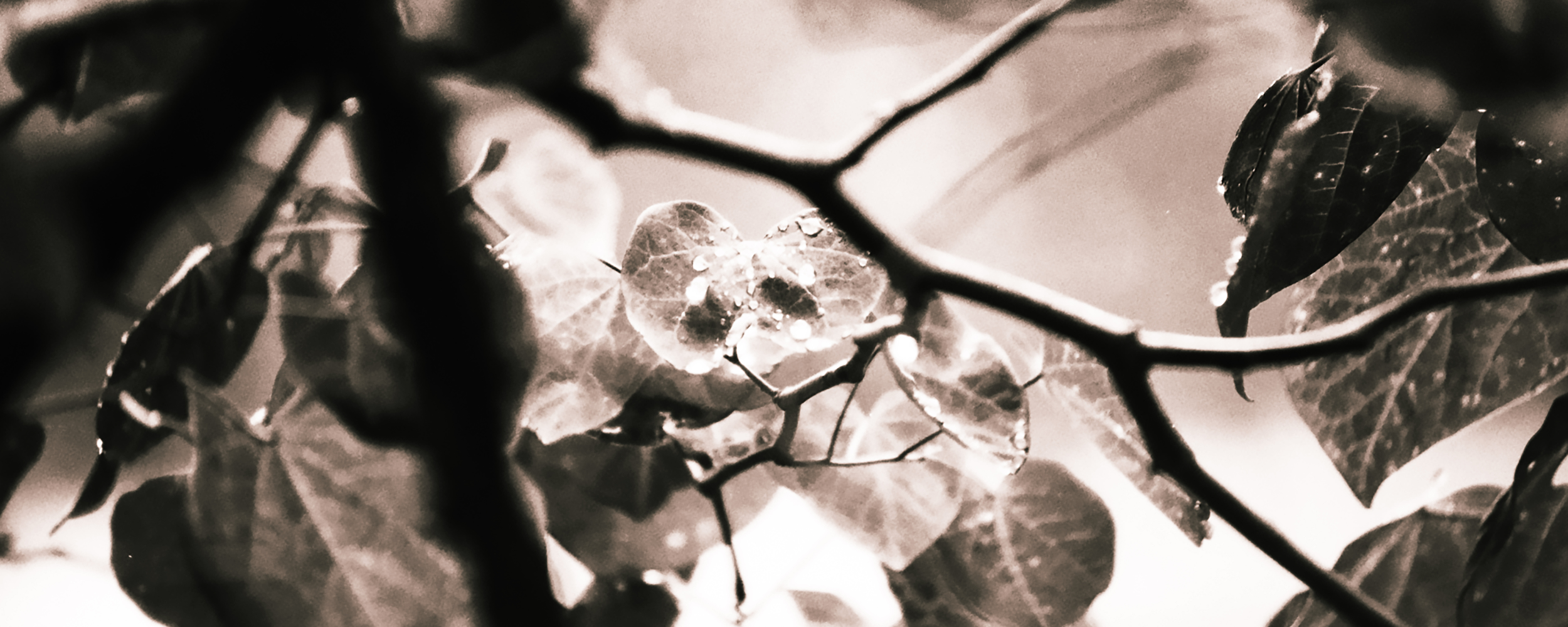 
        <div class='title'>
          4
        </div>
       