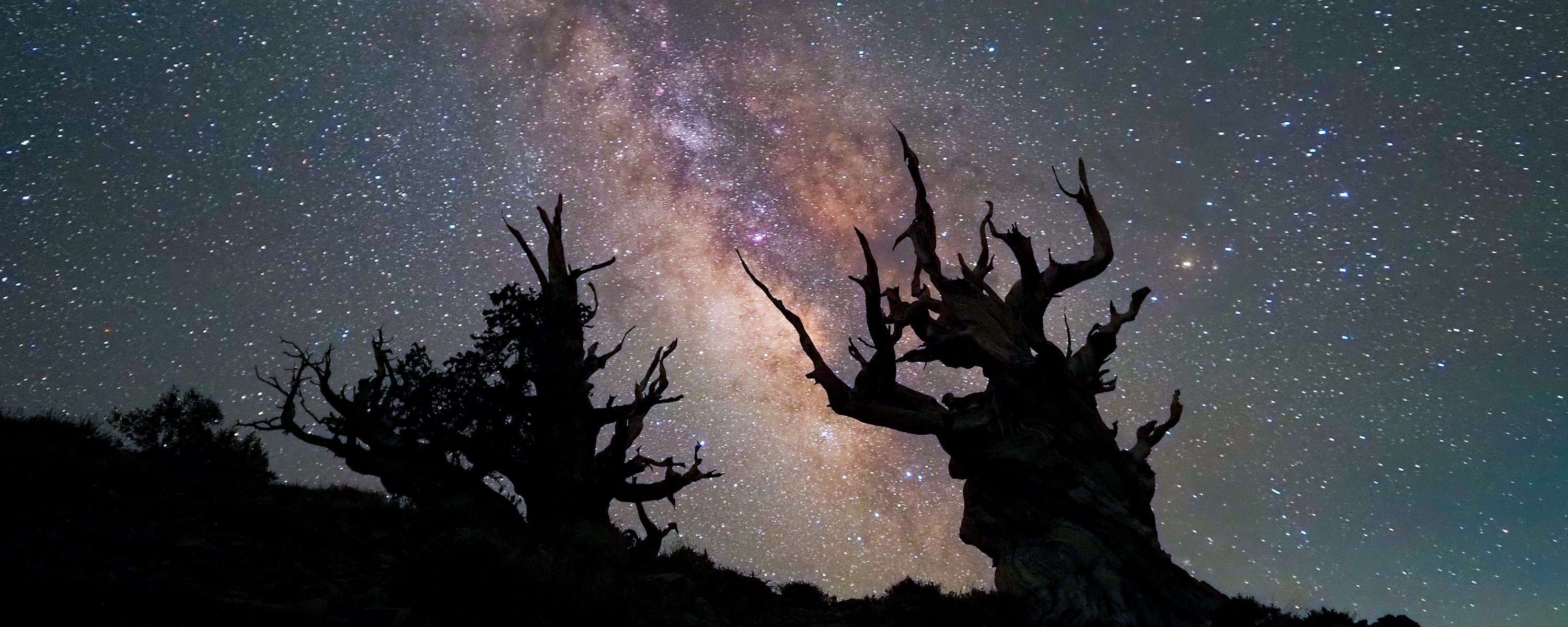 
        <div class='title'>
          5
        </div>
       