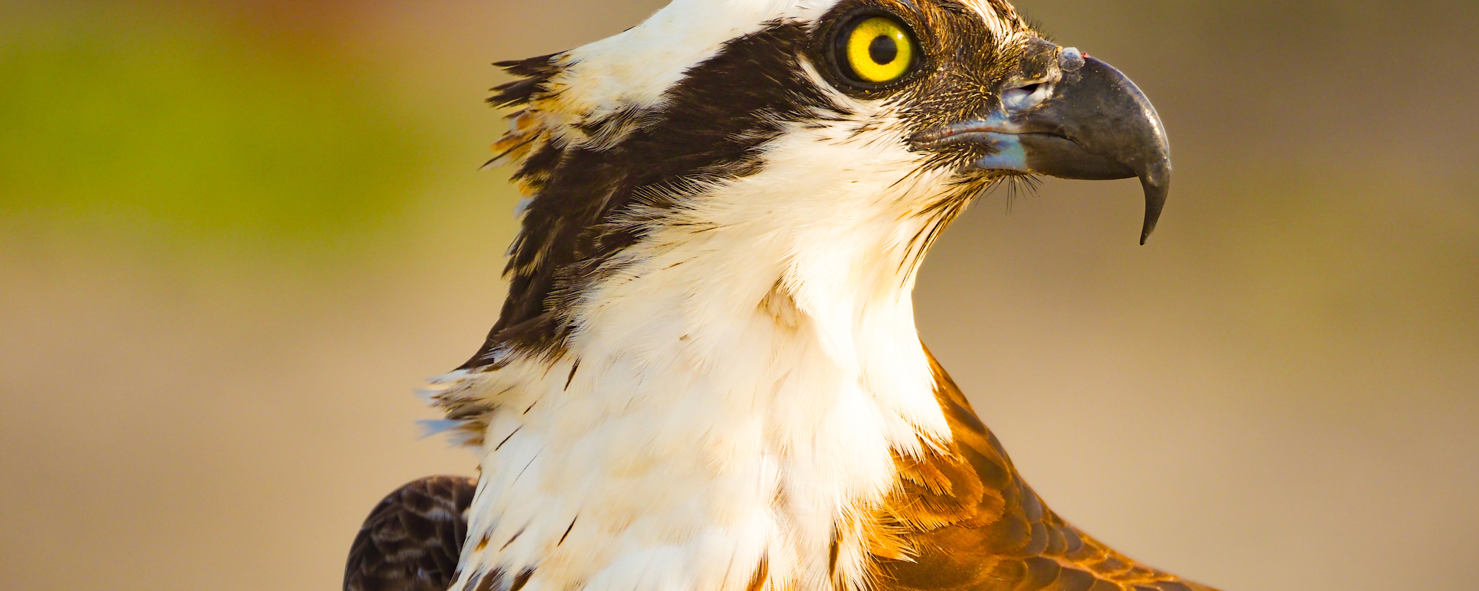 
        <div class='title'>
          3
        </div>
       