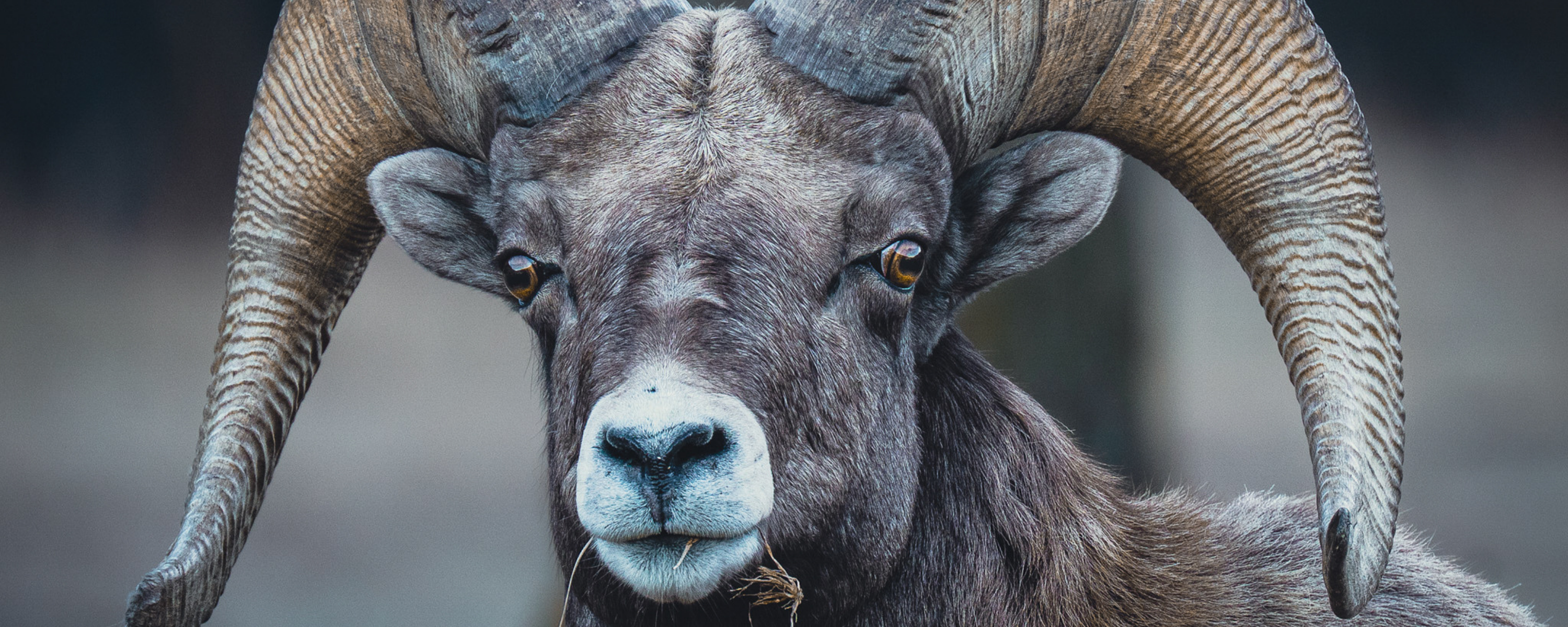 
        <div class='title'>
          1
        </div>
       