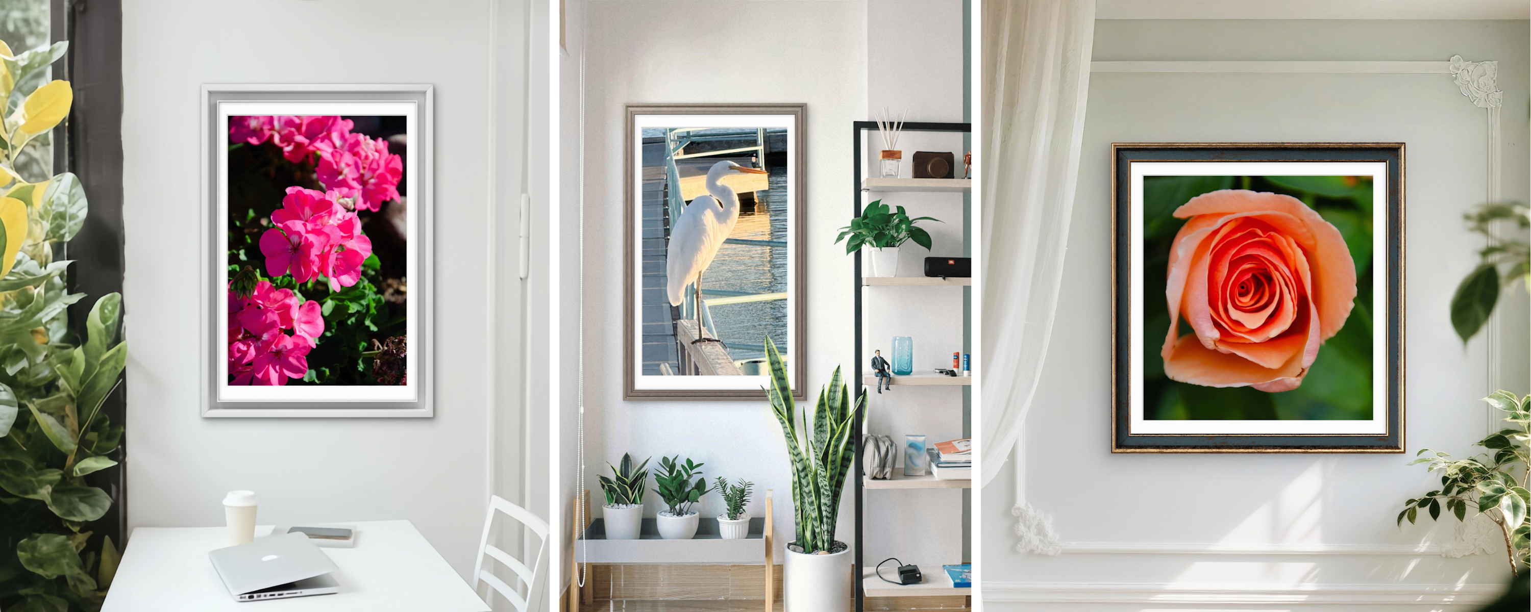 
        <div class='title'>
          1
        </div>
       