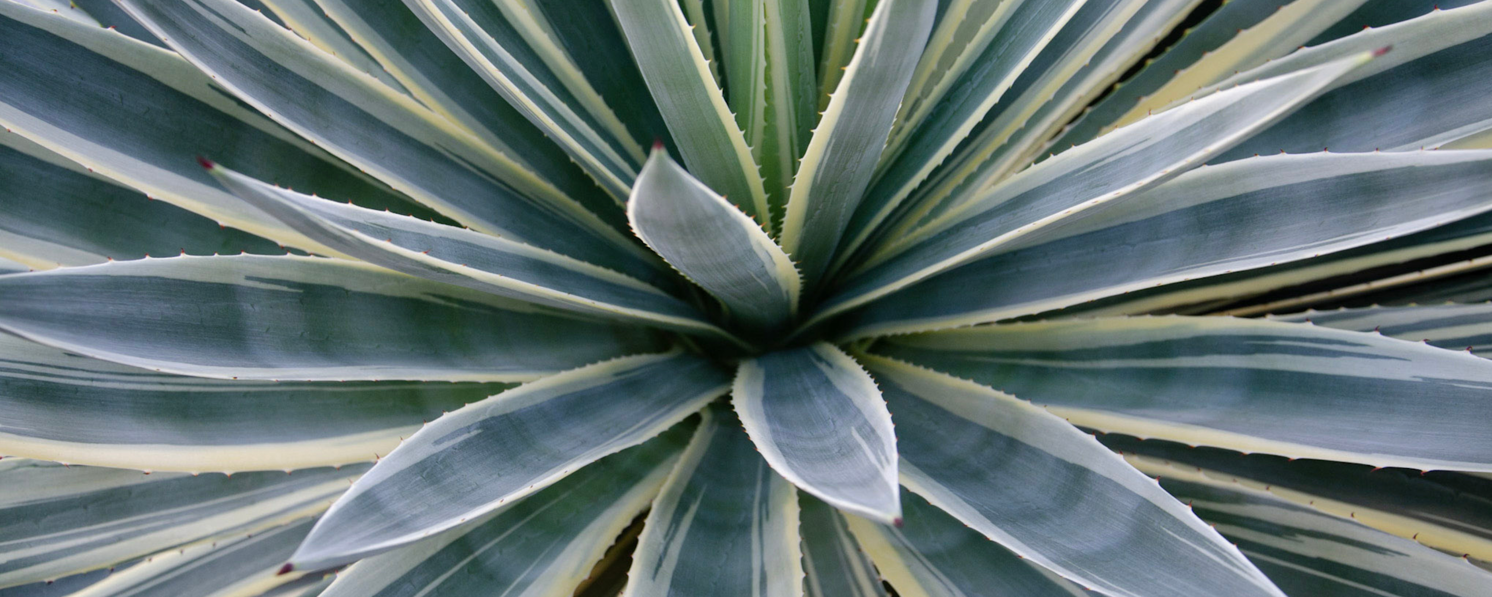 
        <div class='title'>
          2
        </div>
       