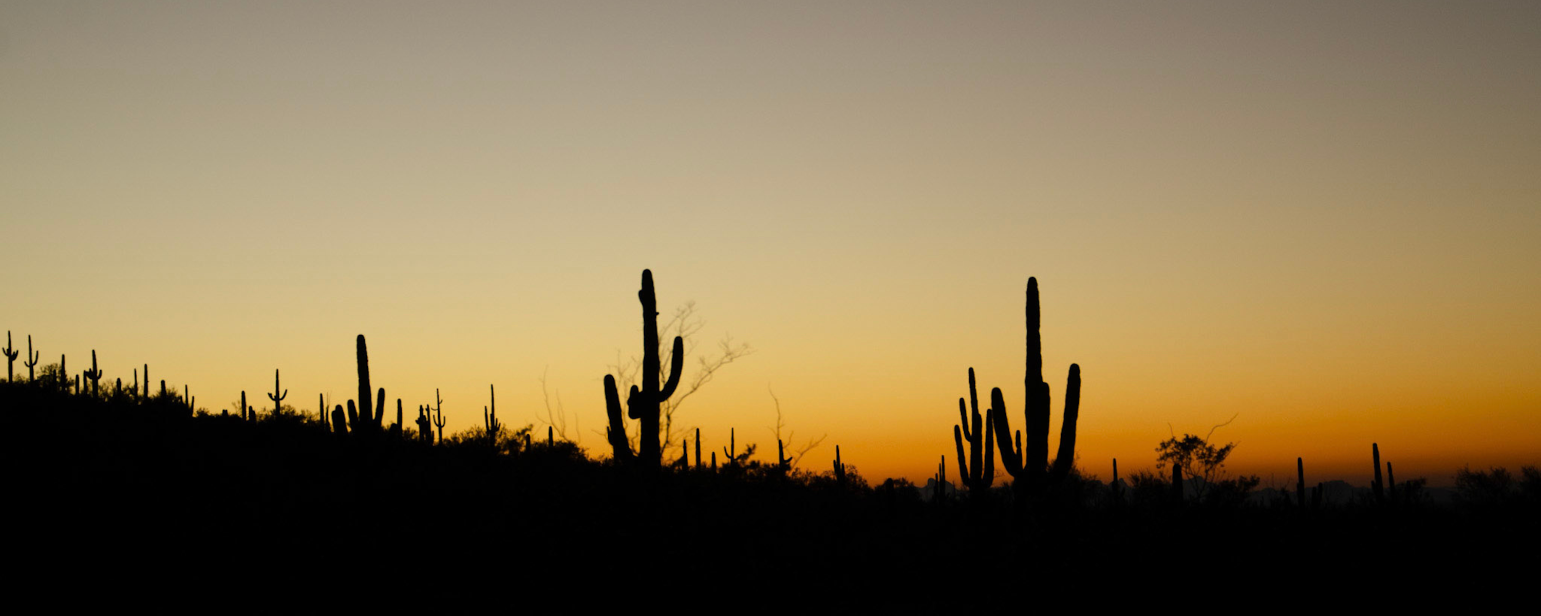 
        <div class='title'>
          3
        </div>
       