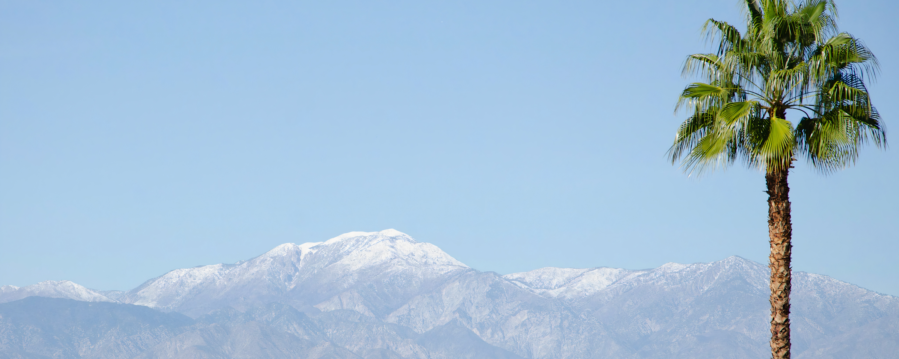 
        <div class='title'>
          4
        </div>
       