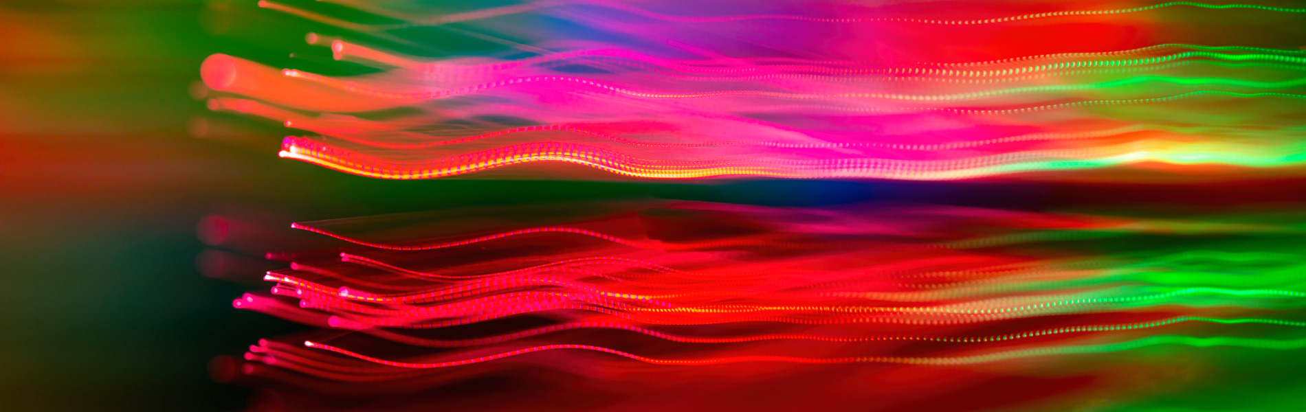 
        <div class='title'>
          J Rini   FINAL
        </div>
       