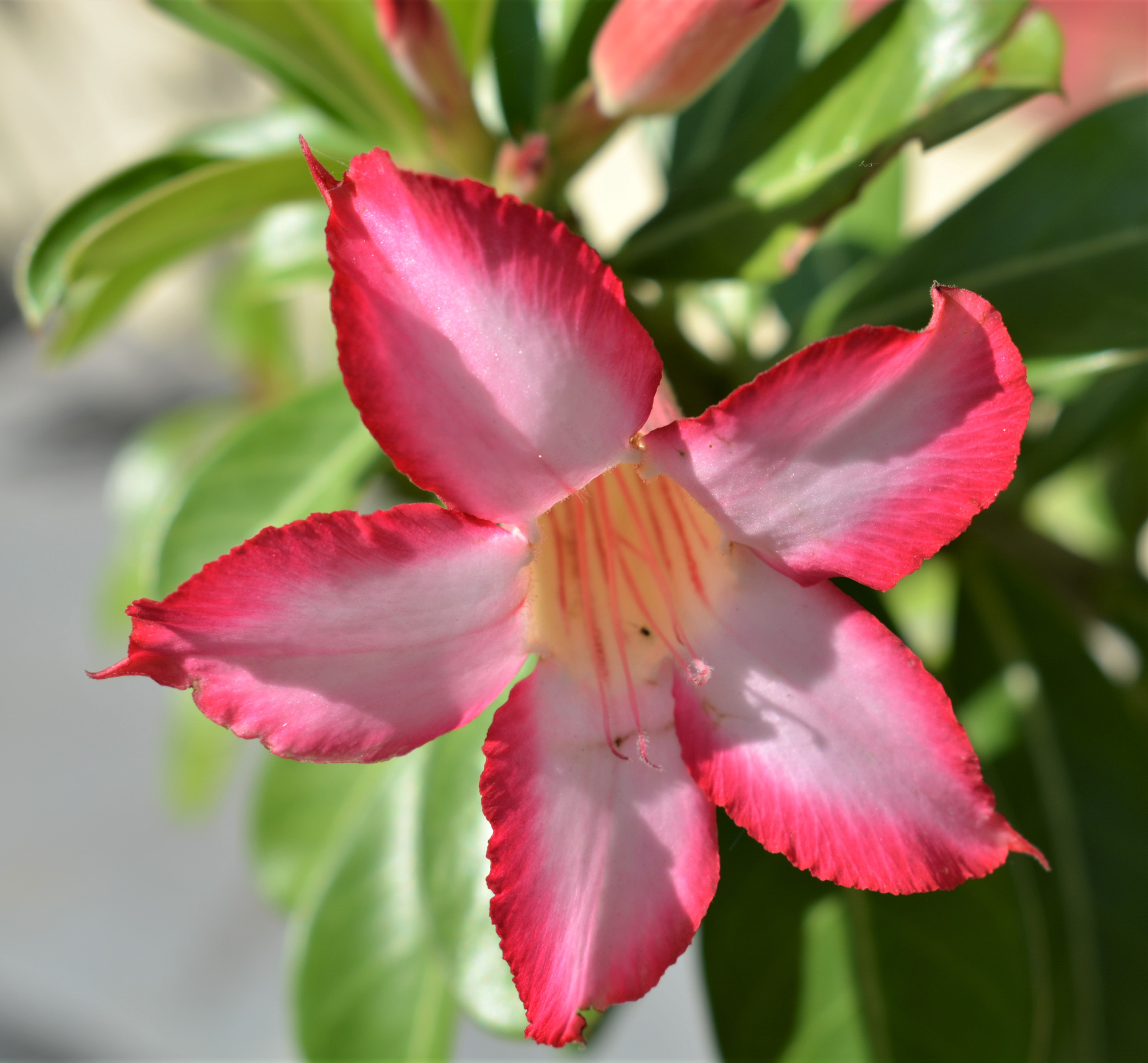 
        <div class='title'>
          39 0053
        </div>
       