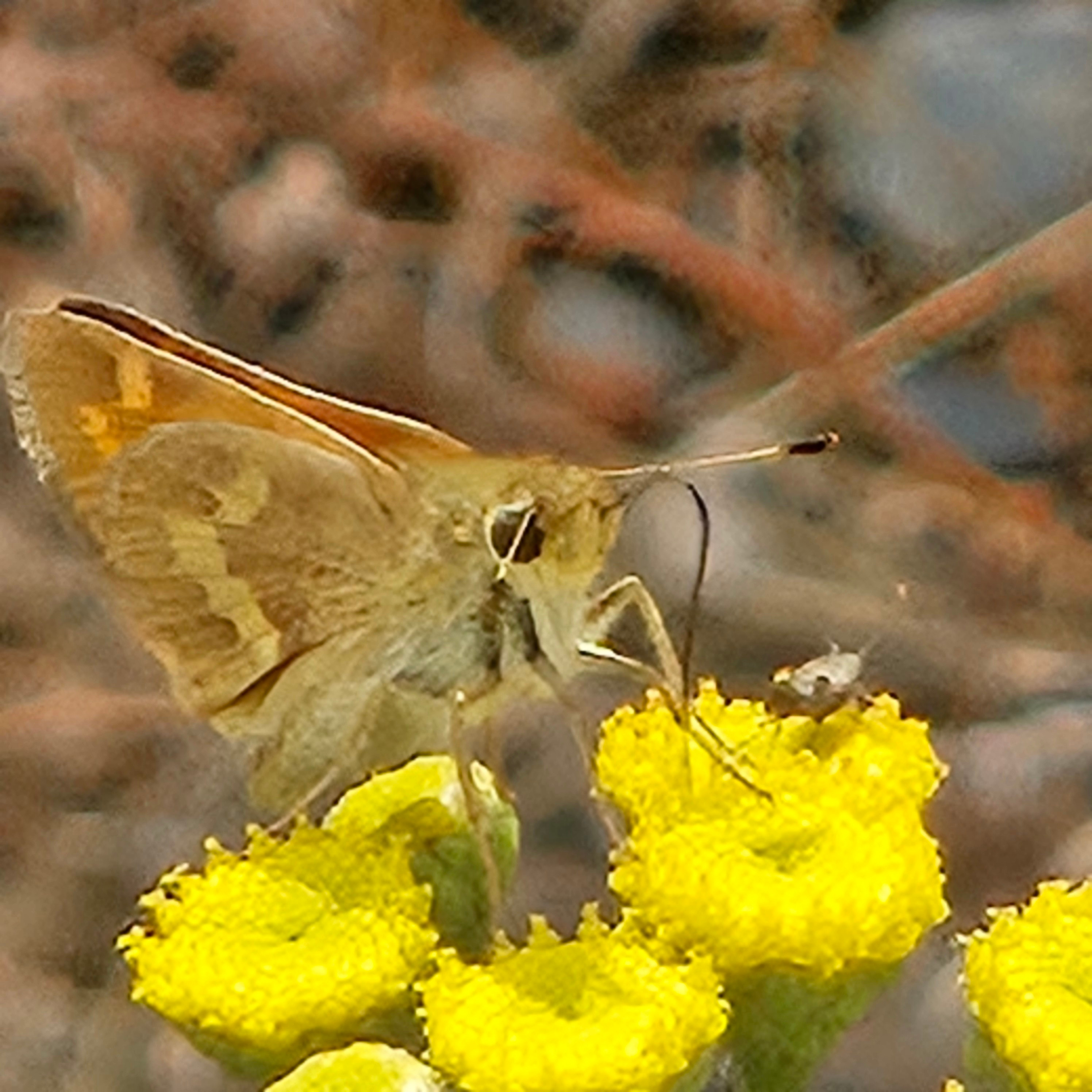 
        <div class='title'>
          2024 08 19 15
        </div>
       