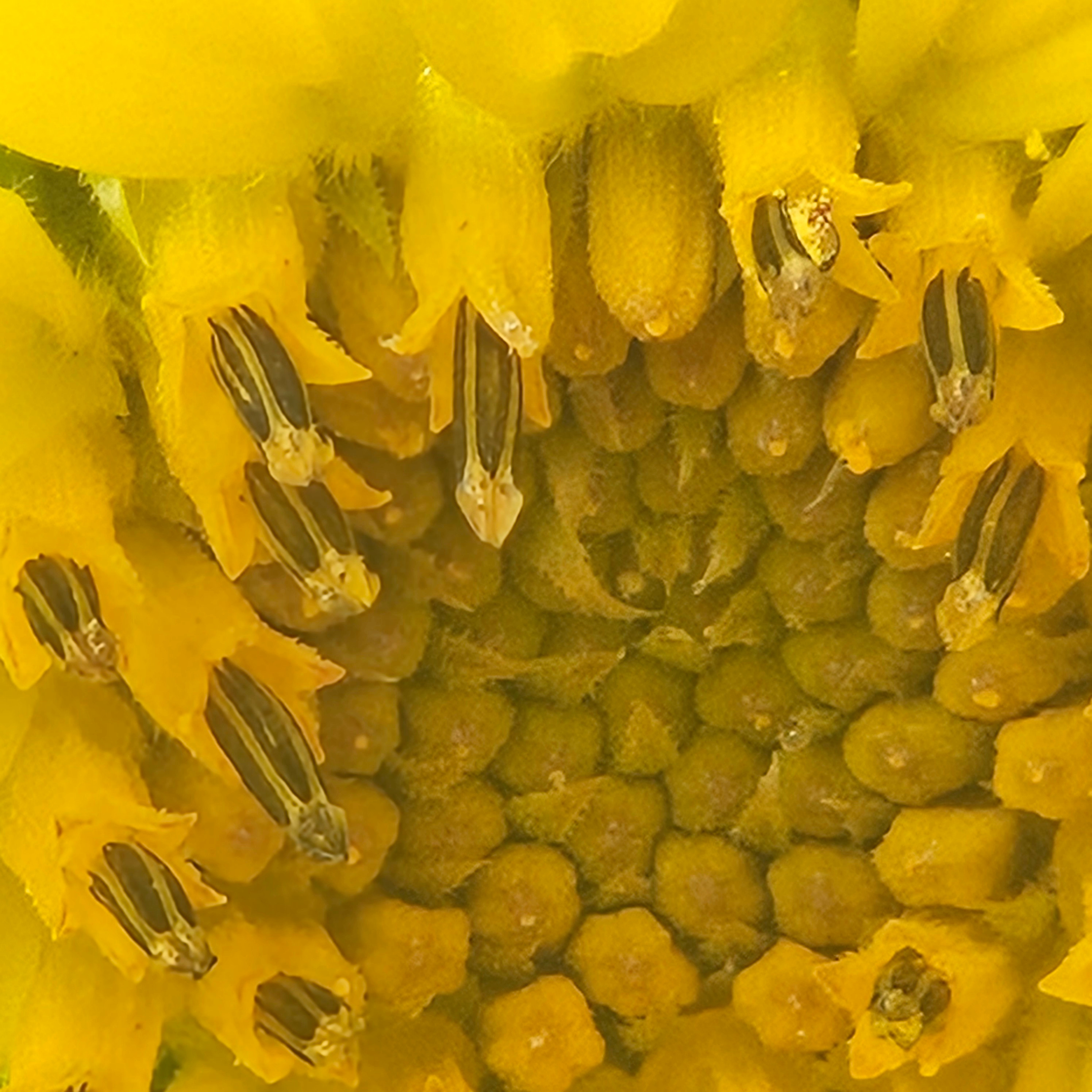 
        <div class='title'>
          2024 09 08 09
        </div>
       