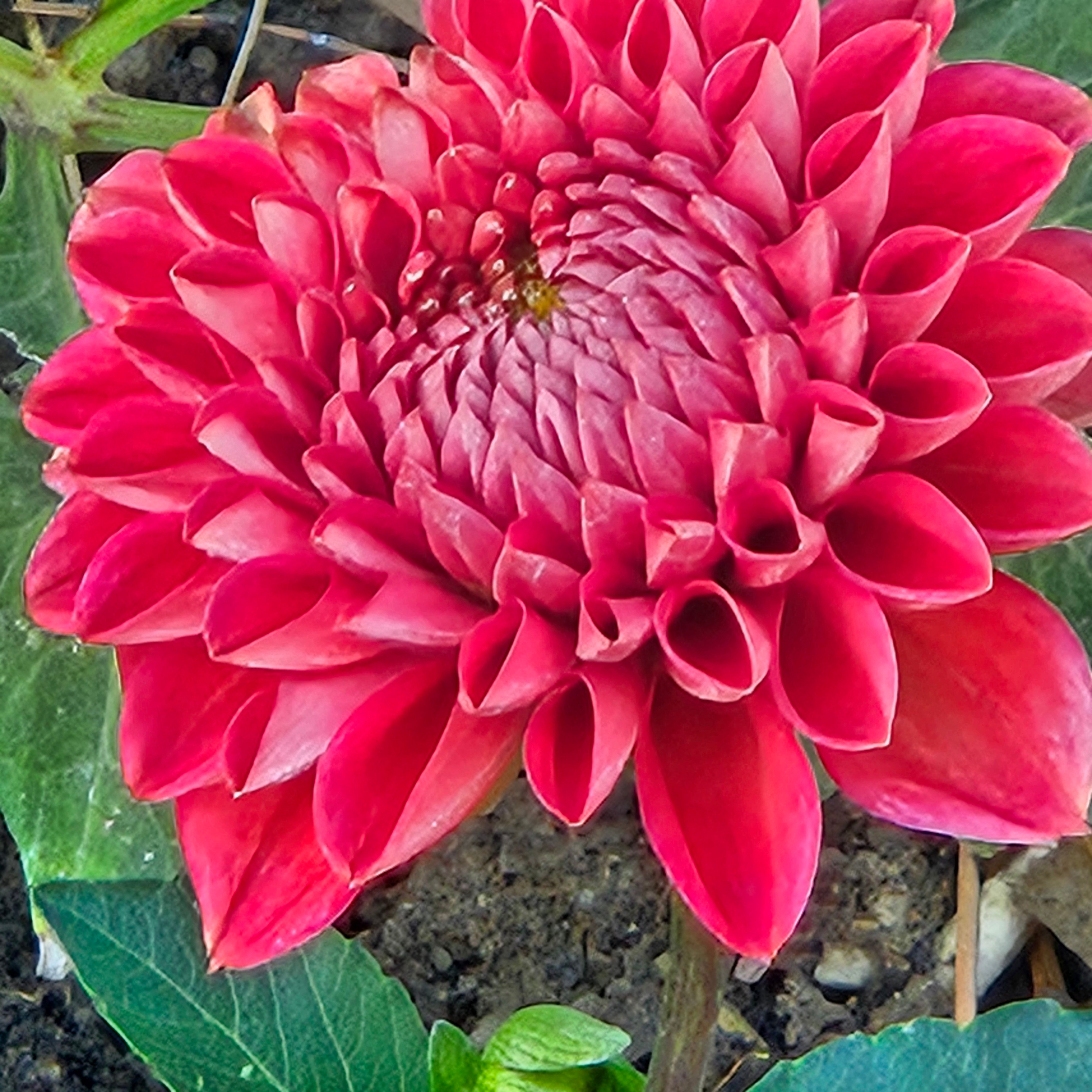 
        <div class='title'>
          2024 10 01 16
        </div>
       