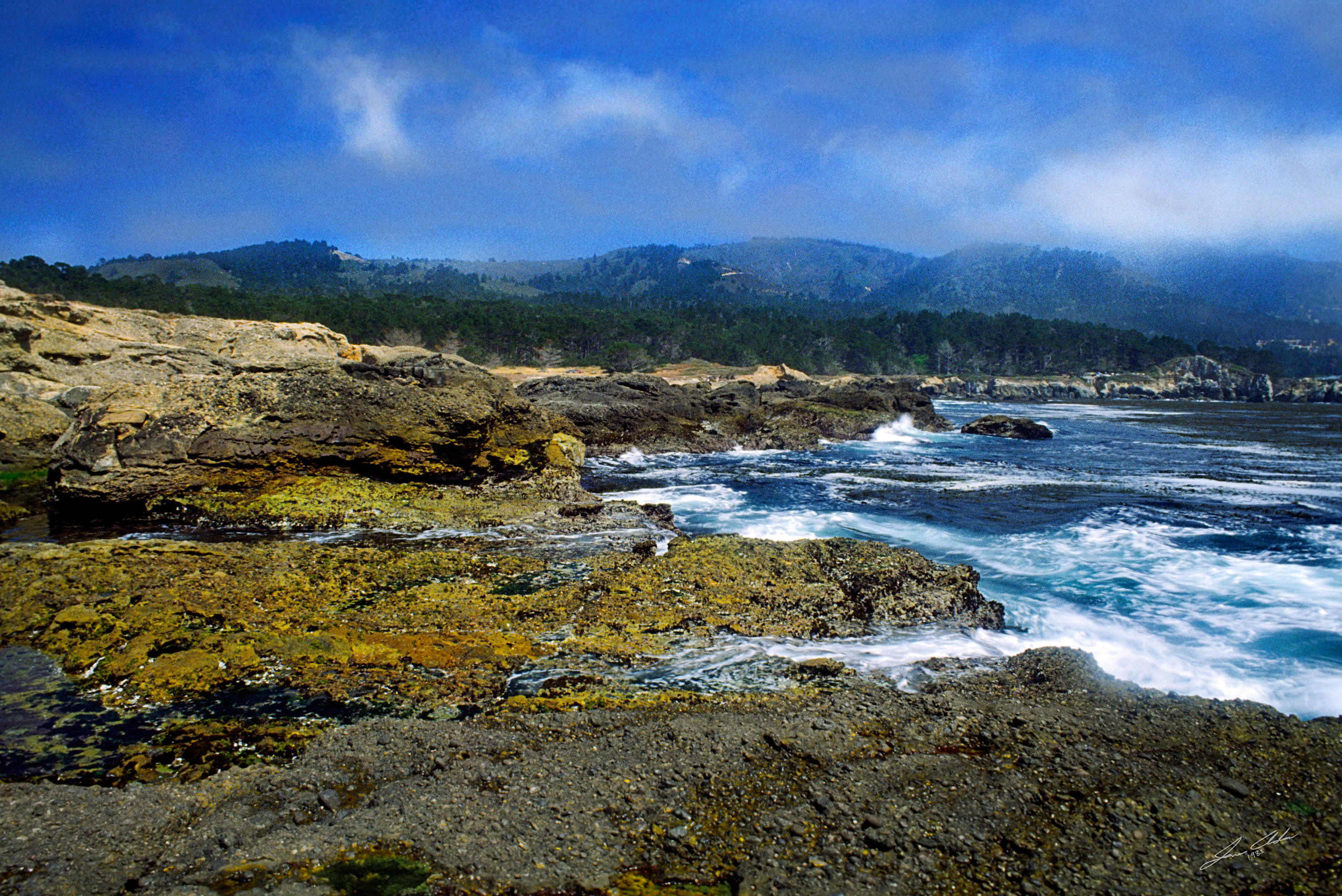 Central coastline 1 1 bixmu2