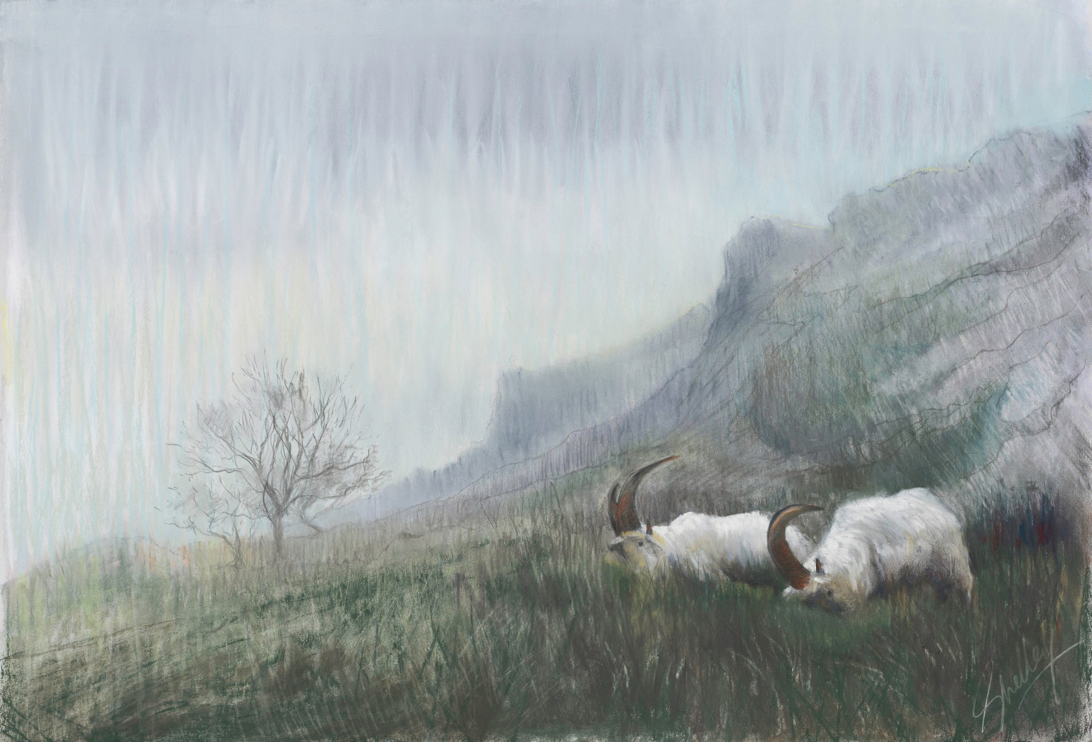 
        <div class='title'>
          Kashmir, Great Orme 22x15 2995 copy
        </div>
       