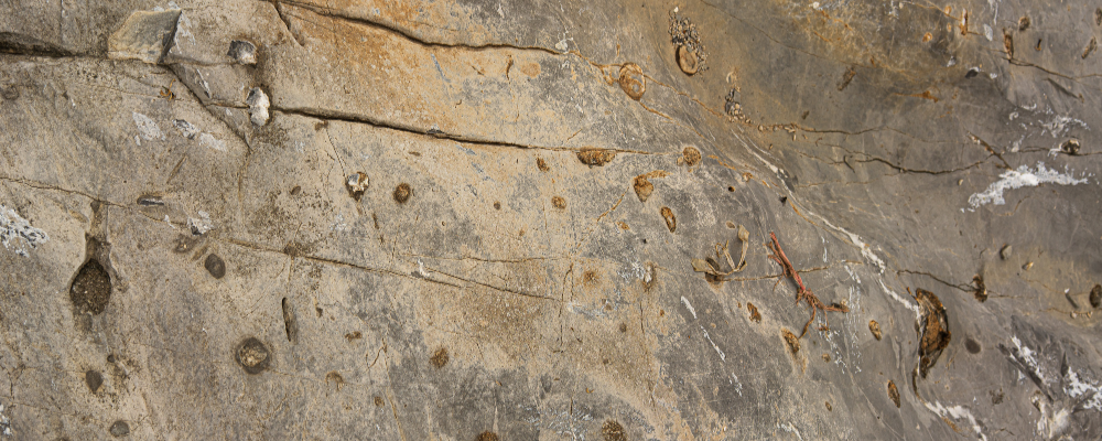 
        <div class='title'>
          Copy of Untitled Design (3)
        </div>
       