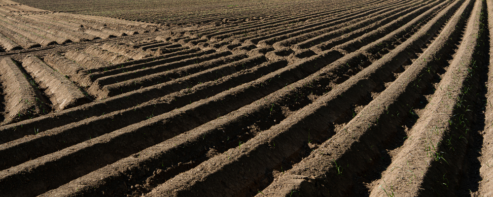 
        <div class='title'>
          Copy of Untitled Design (1)
        </div>
       