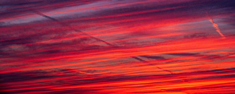 
        <div class='title'>
          Copy of Untitled Design
        </div>
       