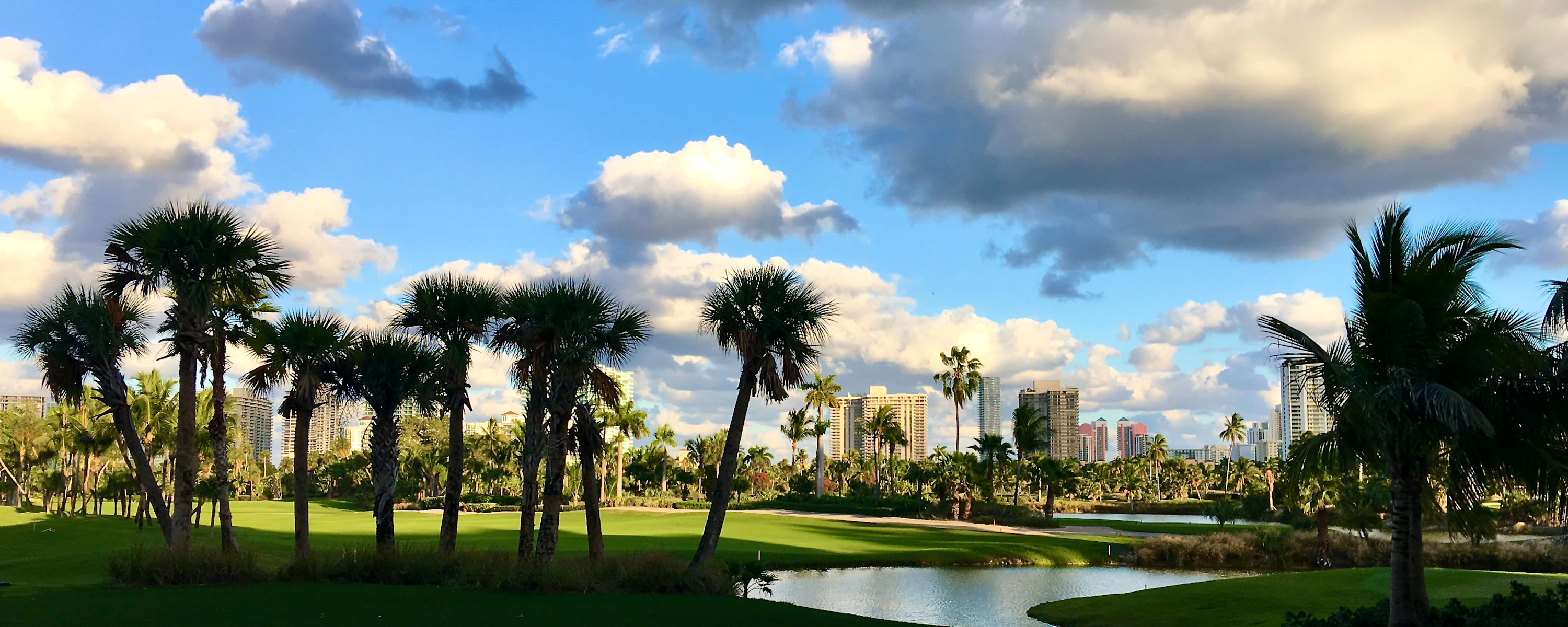 
        <div class='title'>
          1
        </div>
       