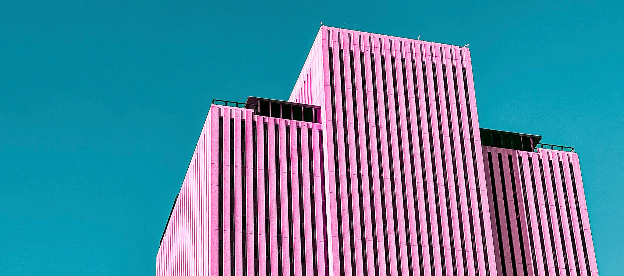 
        <div class='title'>
          IMG 2189 3
        </div>
       