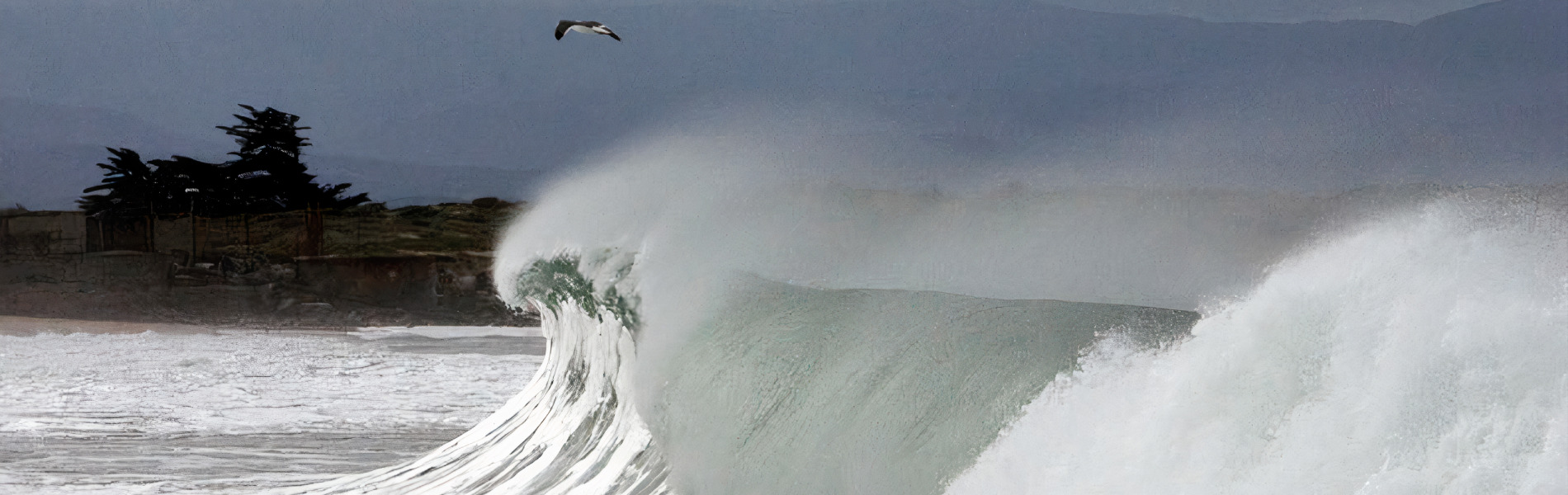 
        <div class='title'>
          MossLanding277 LE upscale balanced x8
        </div>
       