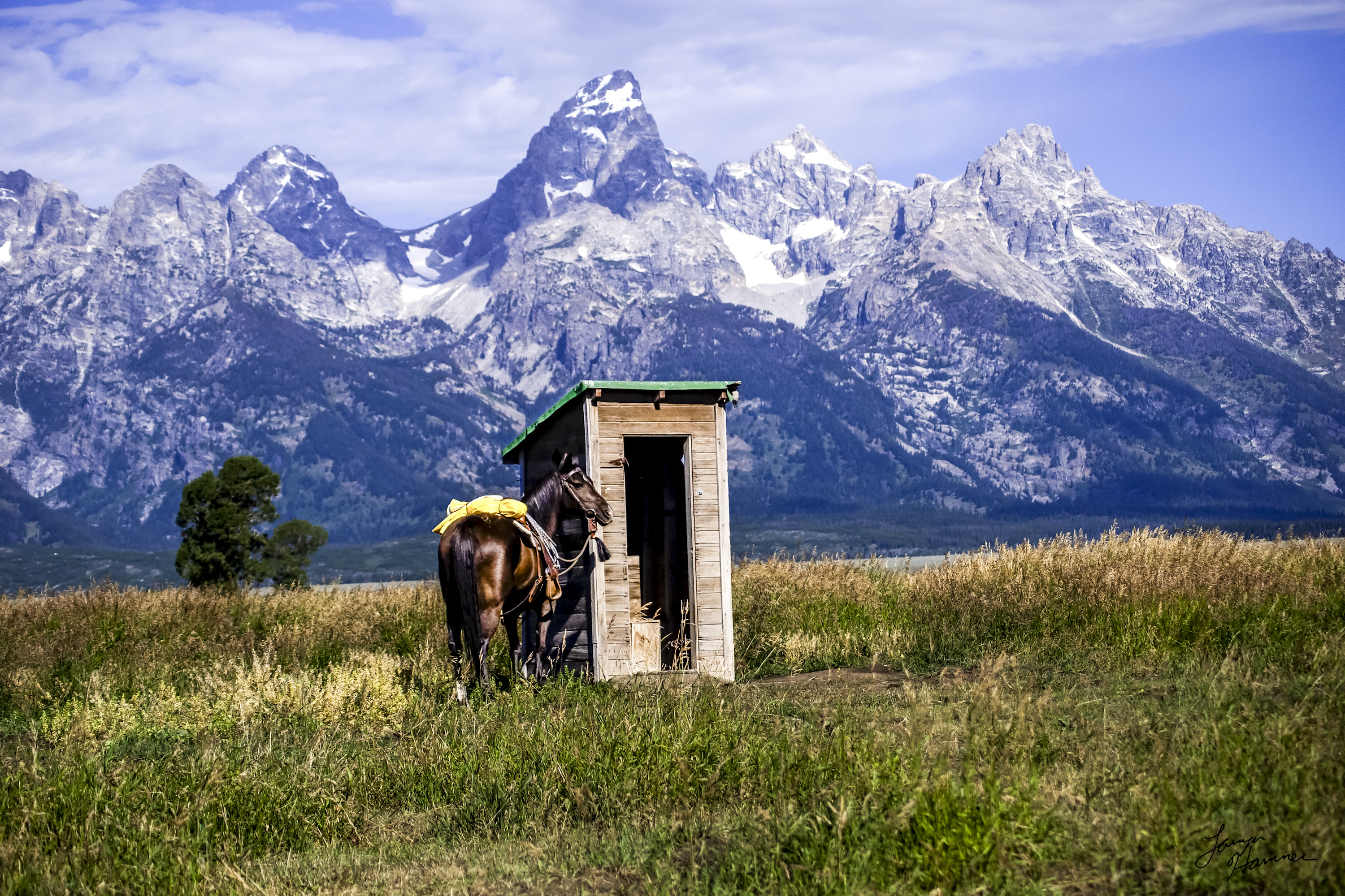 
        <div class='title'>
          A Cowboys Office Banner
        </div>
       