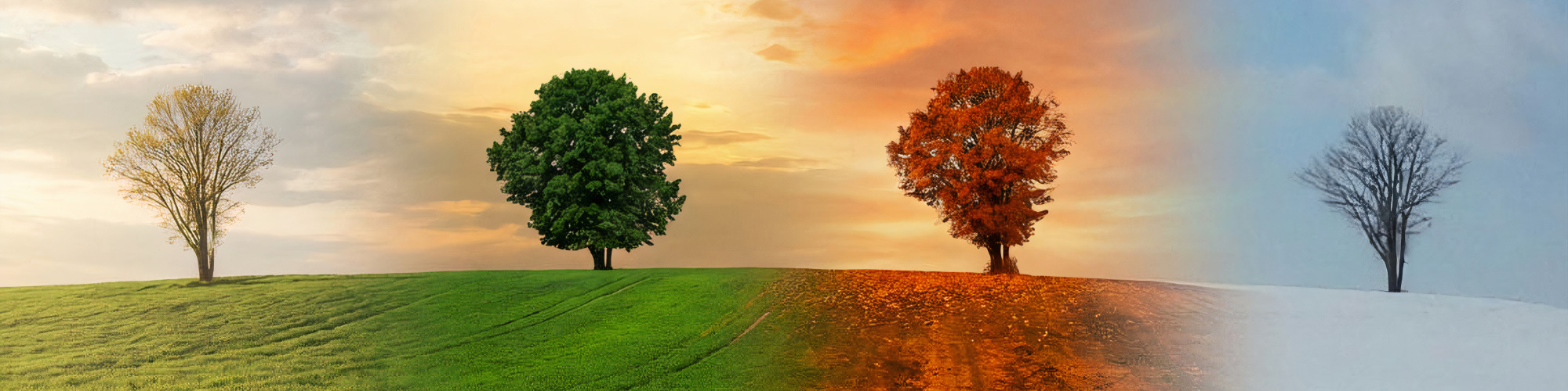 
        <div class='title'>
          New Project
        </div>
       