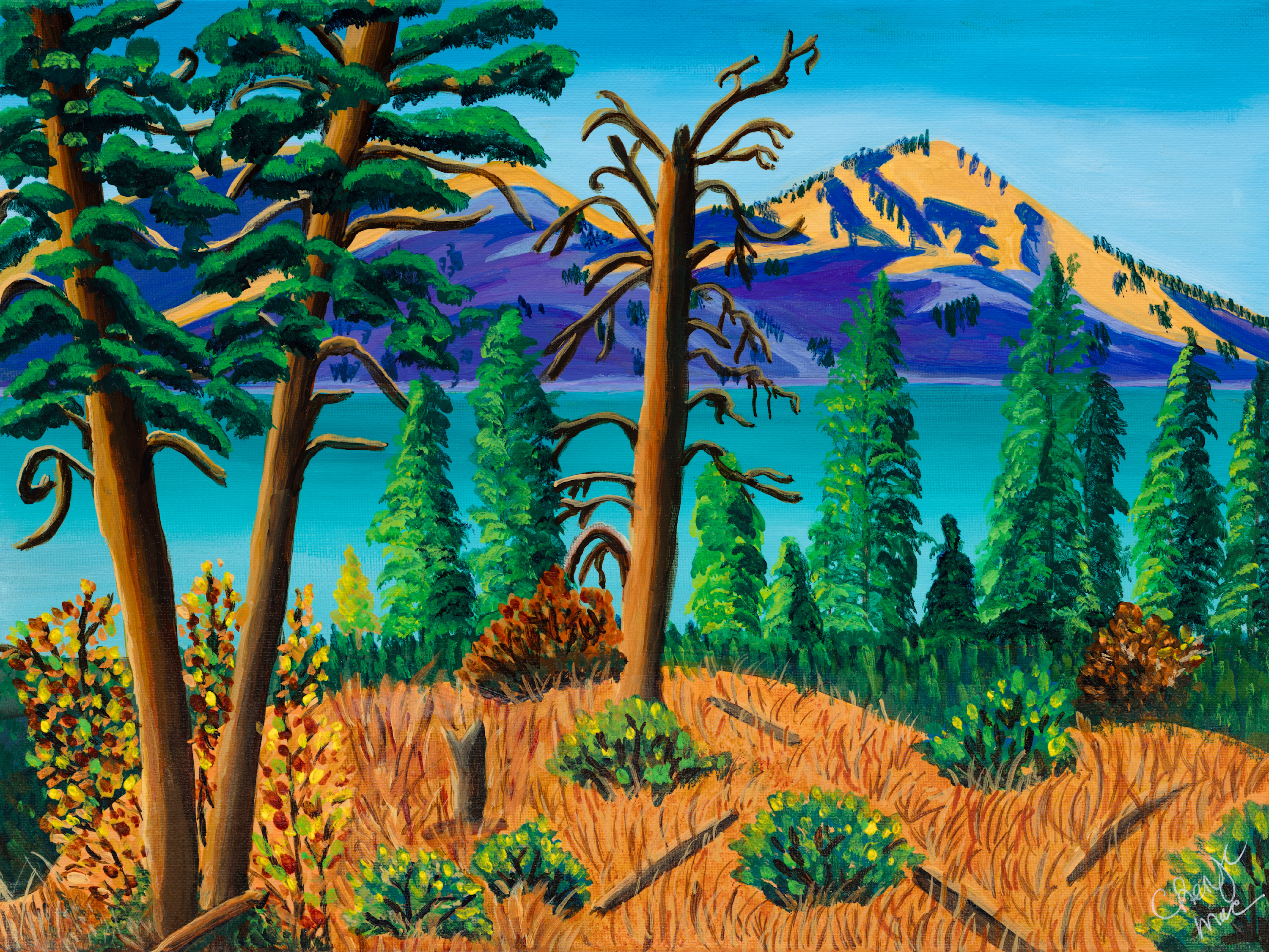
        <div class='title'>
          Okanagan Kalamalka Lake Acrylic
        </div>
       