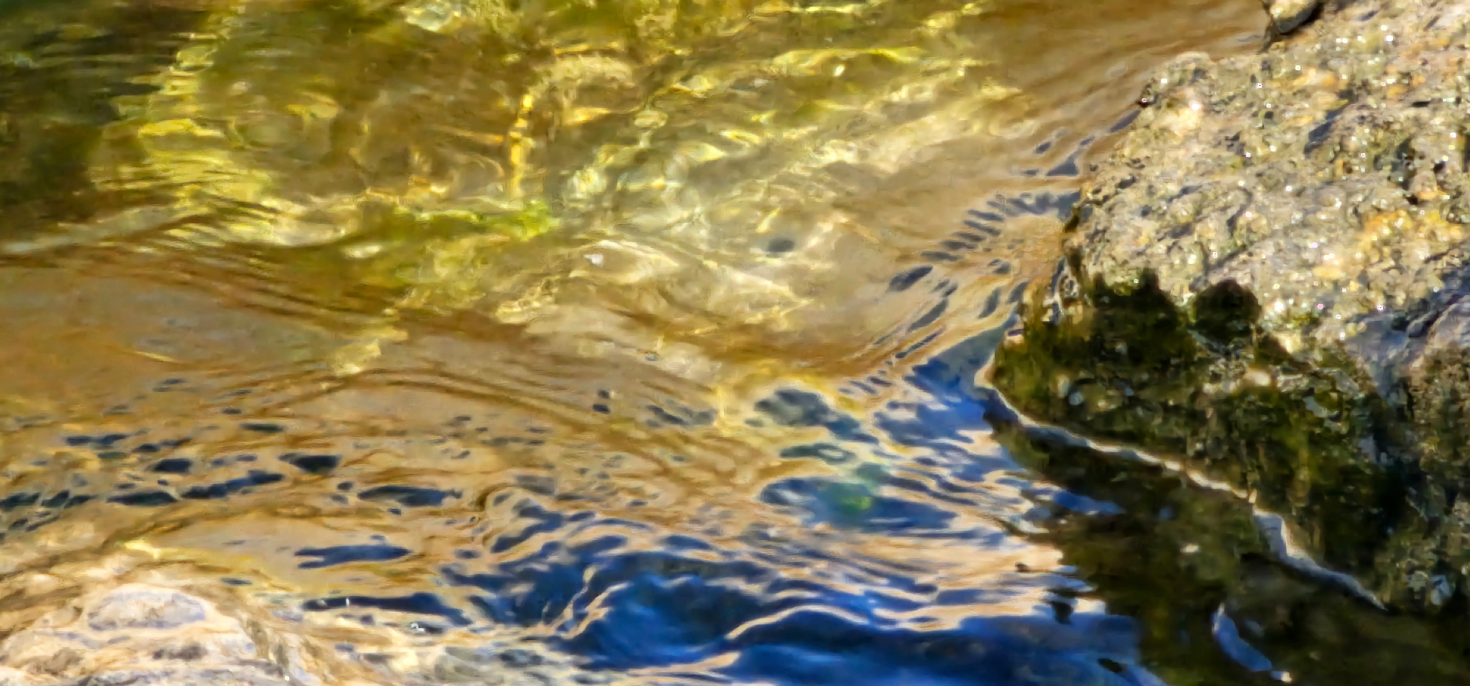 
        <div class='title'>
          Gold, Blue Reflections, Rock 1
        </div>
       