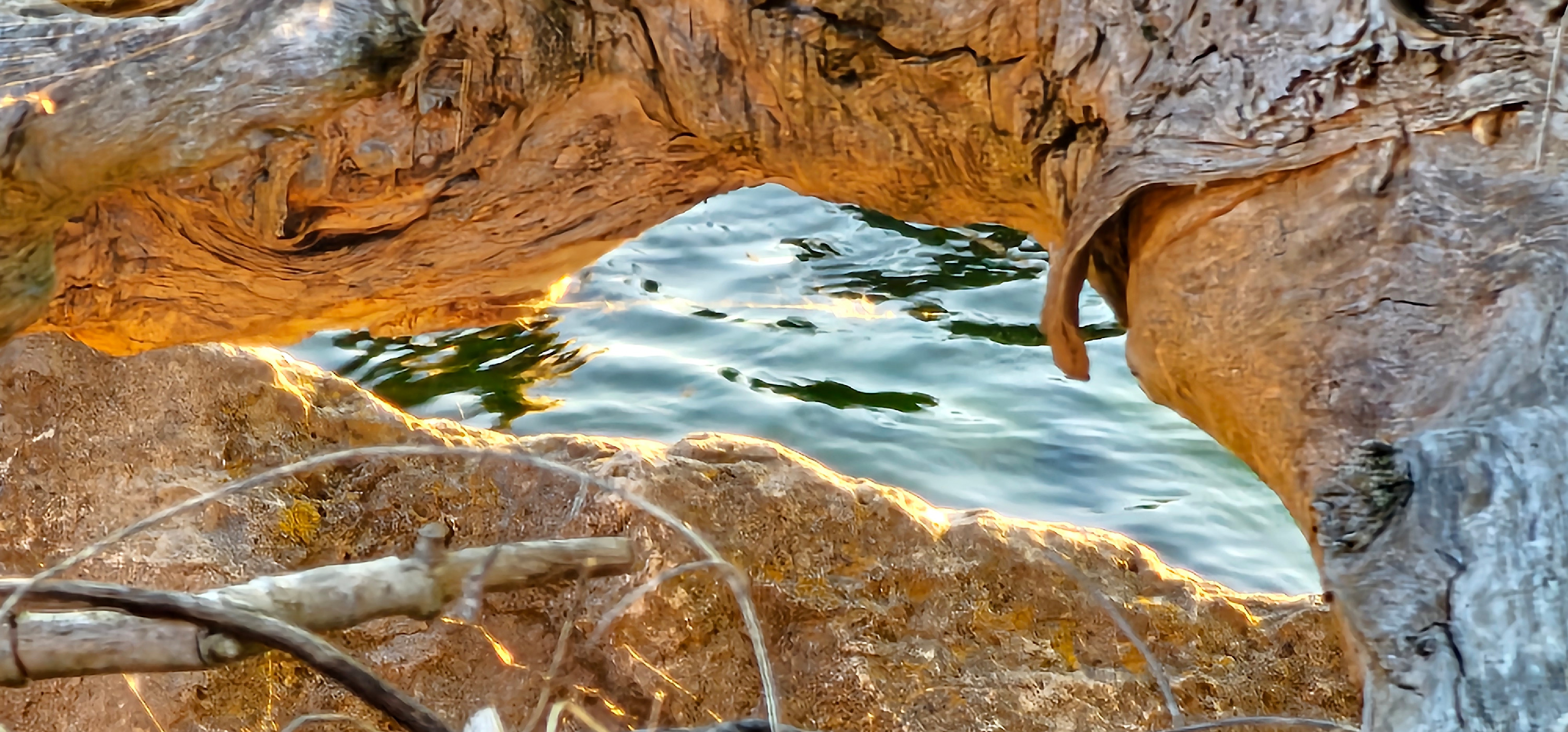 
        <div class='title'>
          Drift wood water 1
        </div>
       