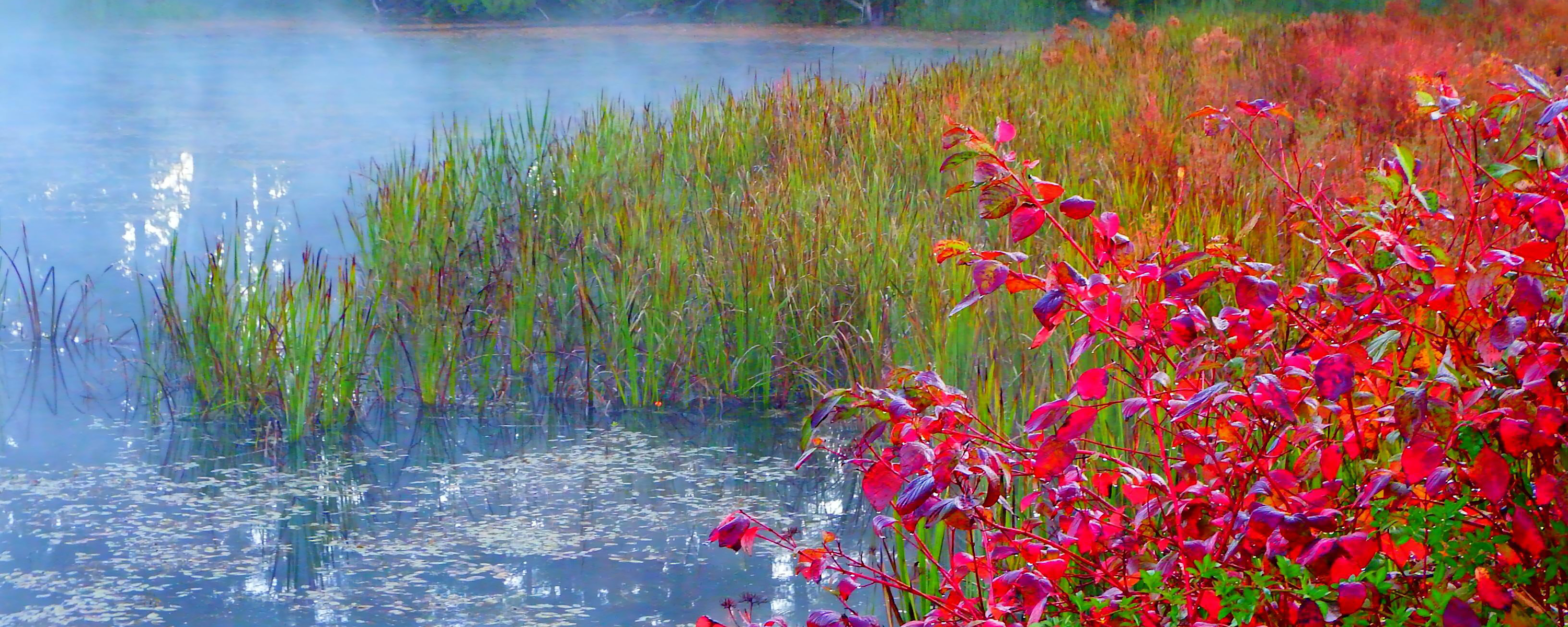 
        <div class='title'>
          3
        </div>
       