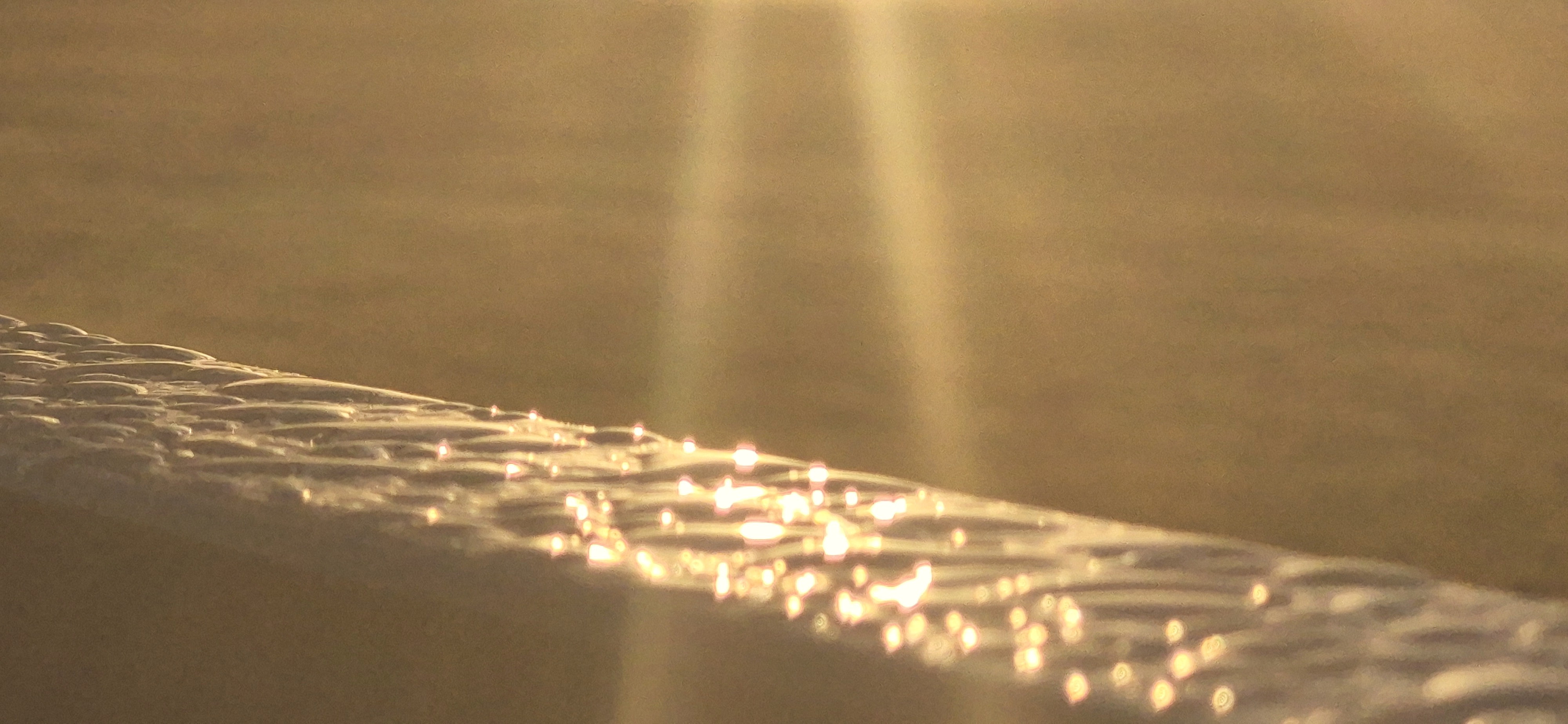 
        <div class='title'>
          Sunrise and Dew on Fence
        </div>
       