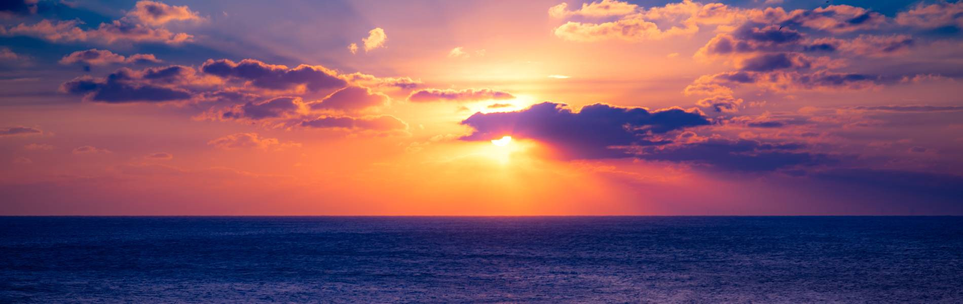 
        <div class='title'>
          1
        </div>
       