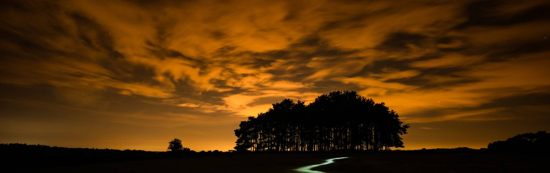 
        <div class='title'>
          rus cov 5 (1)
        </div>
       