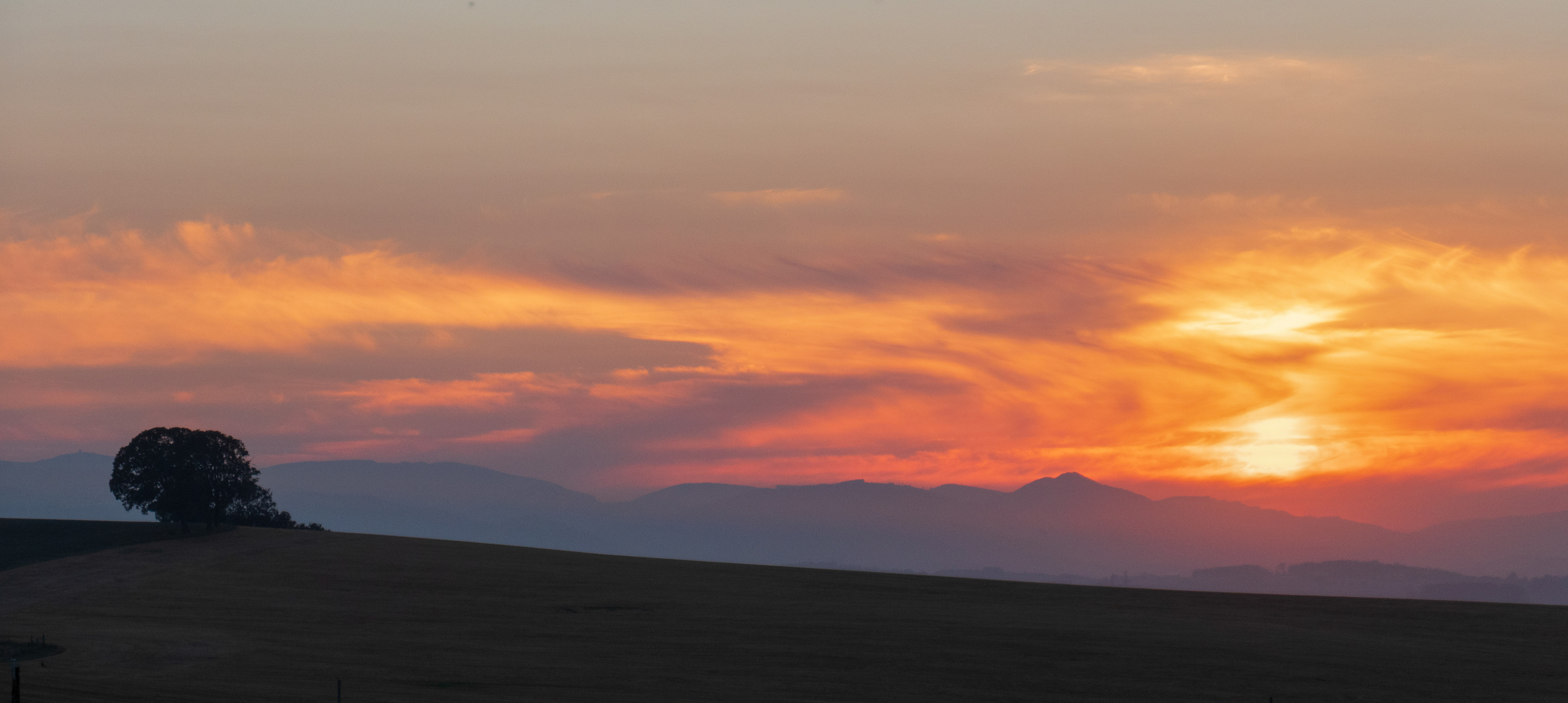 
        <div class='title'>
          gma sunset 1024499
        </div>
       