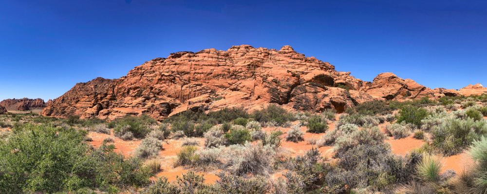 
        <div class='title'>
          Copy of Untitled Design (1)
        </div>
       