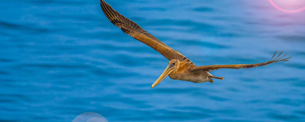 
        <div class='title'>
          Copy of Untitled Design
        </div>
       