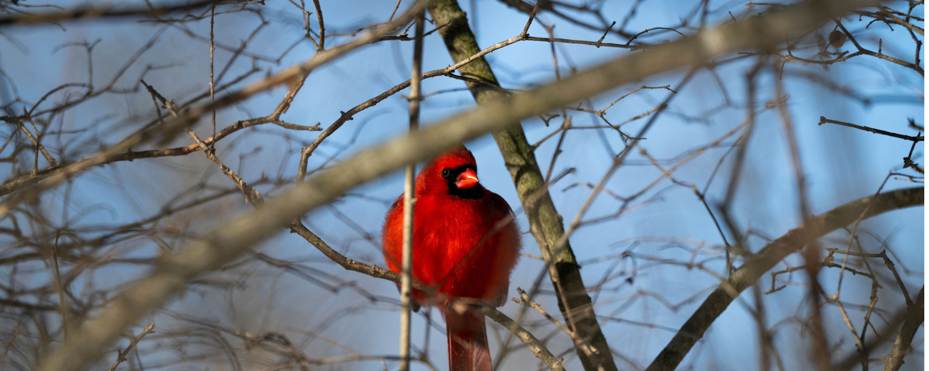 
        <div class='title'>
          4
        </div>
       