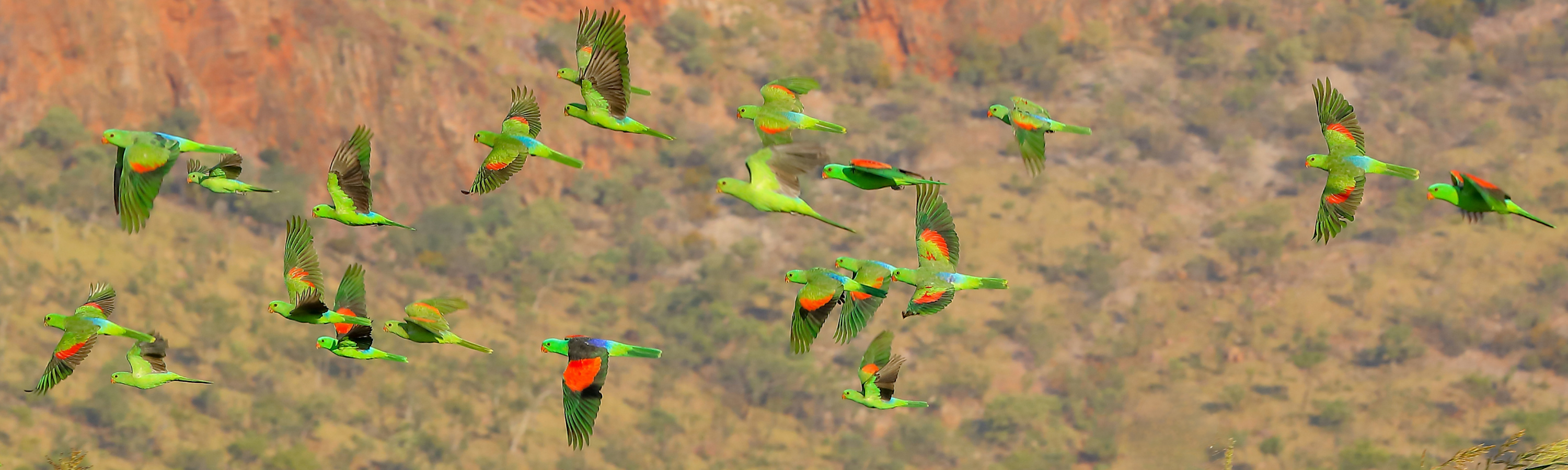 
        <div class='title'>
          Untitled design
        </div>
       