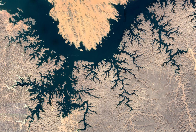 River delta viewed from space showing fractal branching patterns