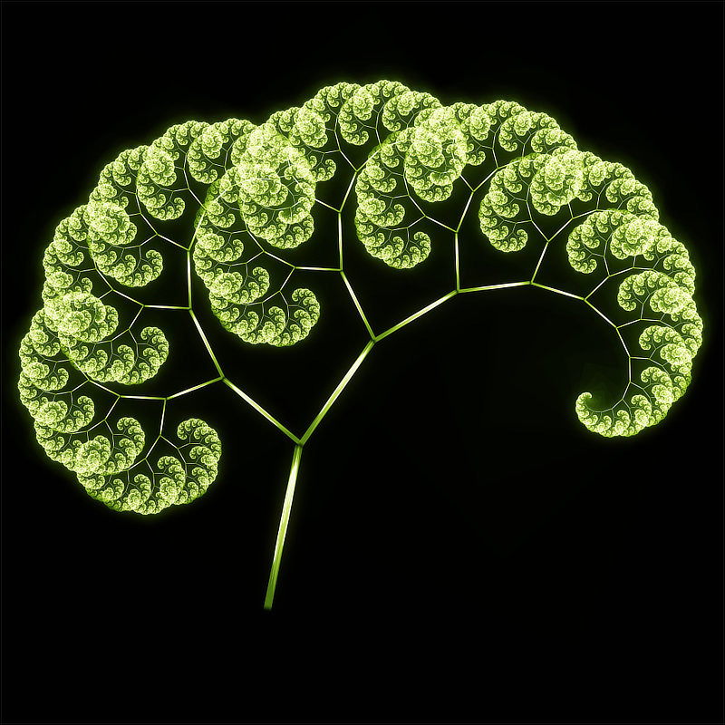 L-system fractal producing lightning or coral-like branching forms