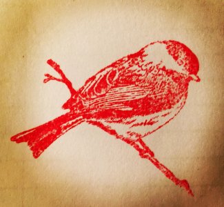 Npkqsuds1uvidfv2hby7