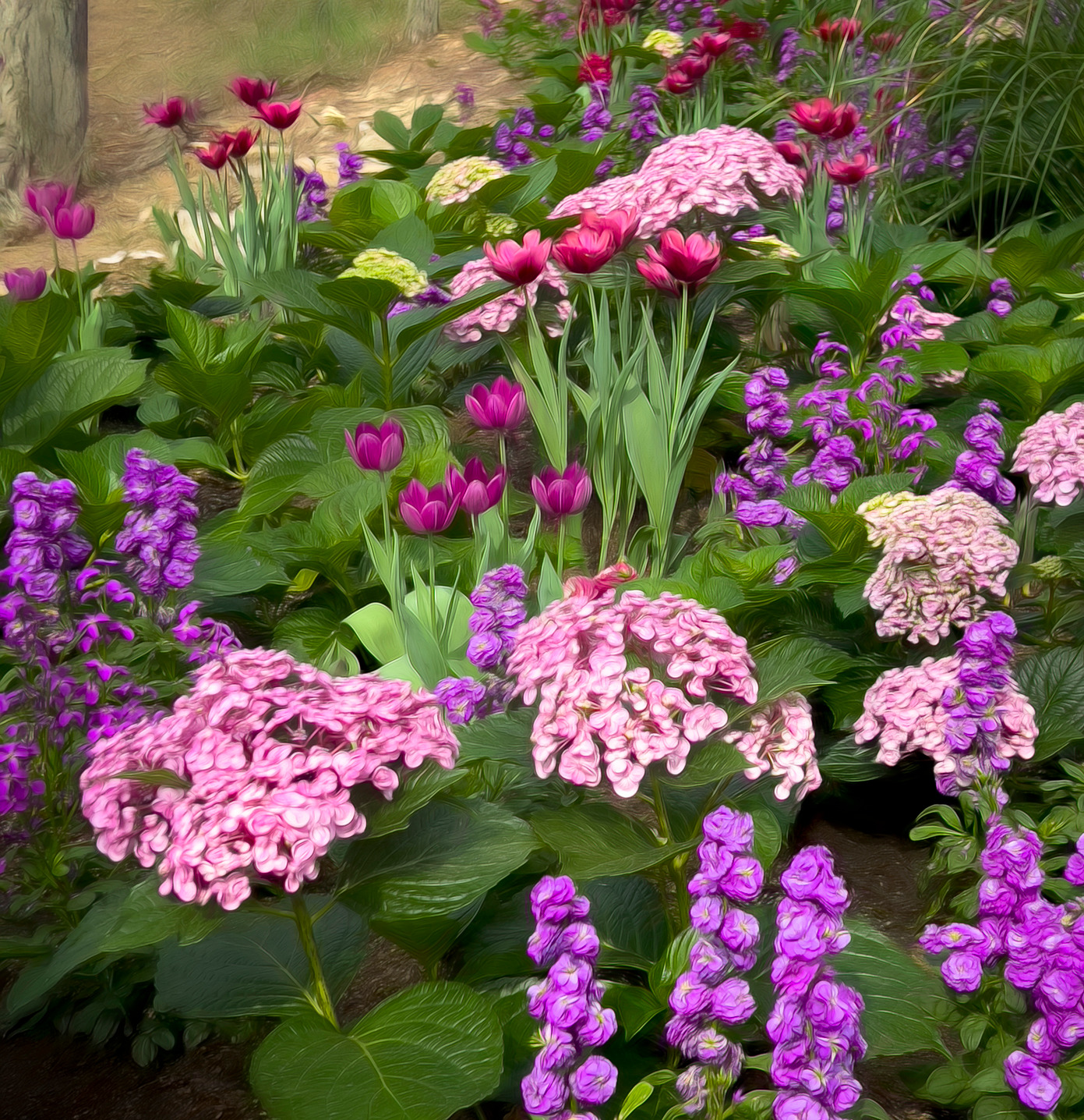 Springbouquet 2 bfcuvd